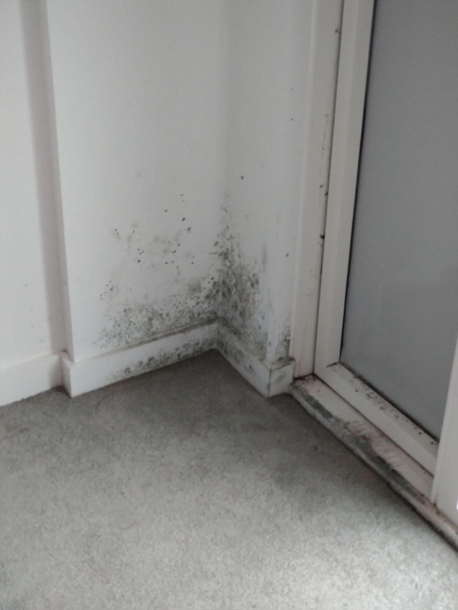 After Image